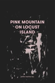 Pink mountain_cvr